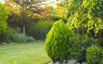 Entretenir son jardin : une équipe de professionnel à votre service pour l’entretien de parcs et de jardins